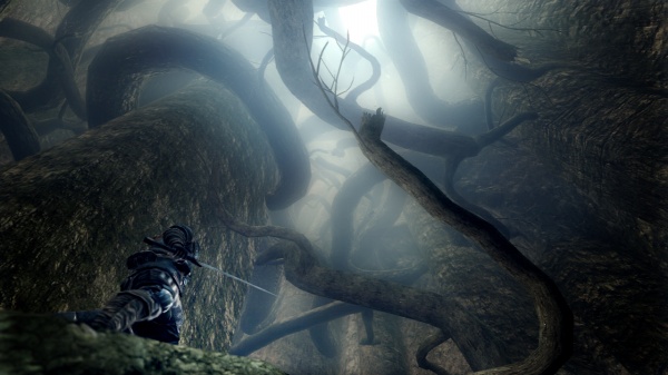 Dark Souls screenshot 23